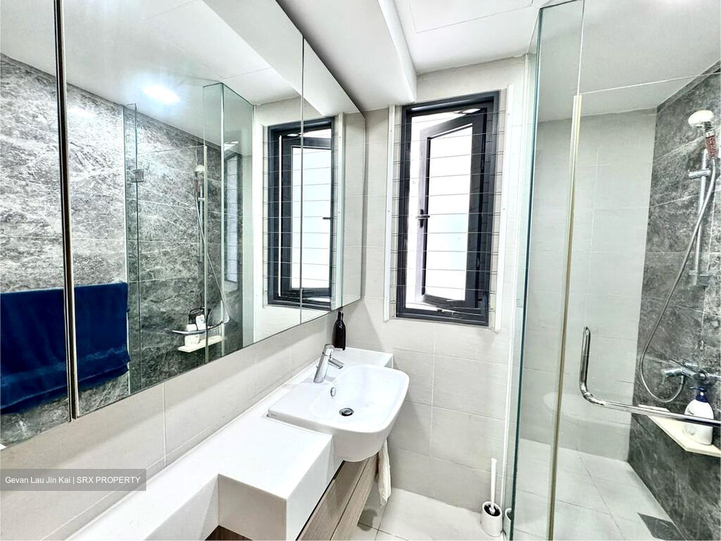 The Lakefront Residences (D22), Condominium #582216931